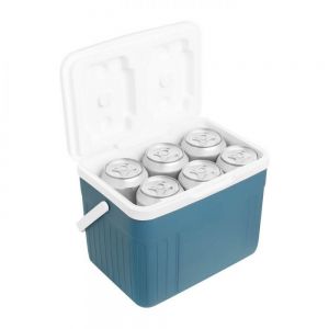 MINI HIELERA BRIXTON personalizada